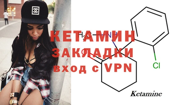 шишки Чердынь