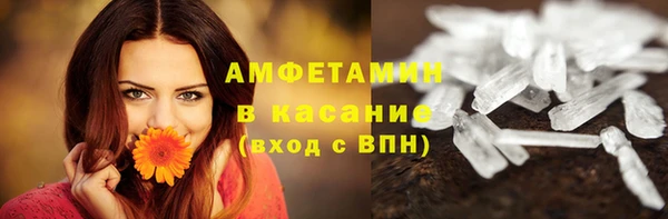 шишки Чердынь