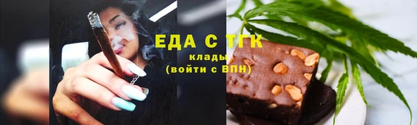 шишки Чердынь