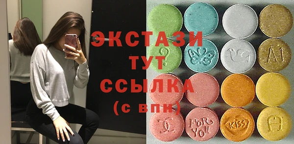 шишки Чердынь