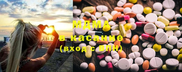 шишки Чердынь