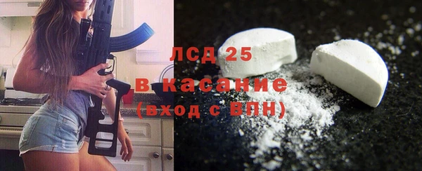 спайс Чекалин