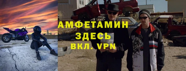 шишки Чердынь