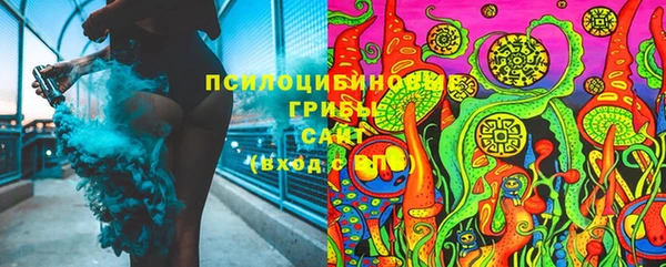 ПСИЛОЦИБИНОВЫЕ ГРИБЫ Ханты-Мансийск