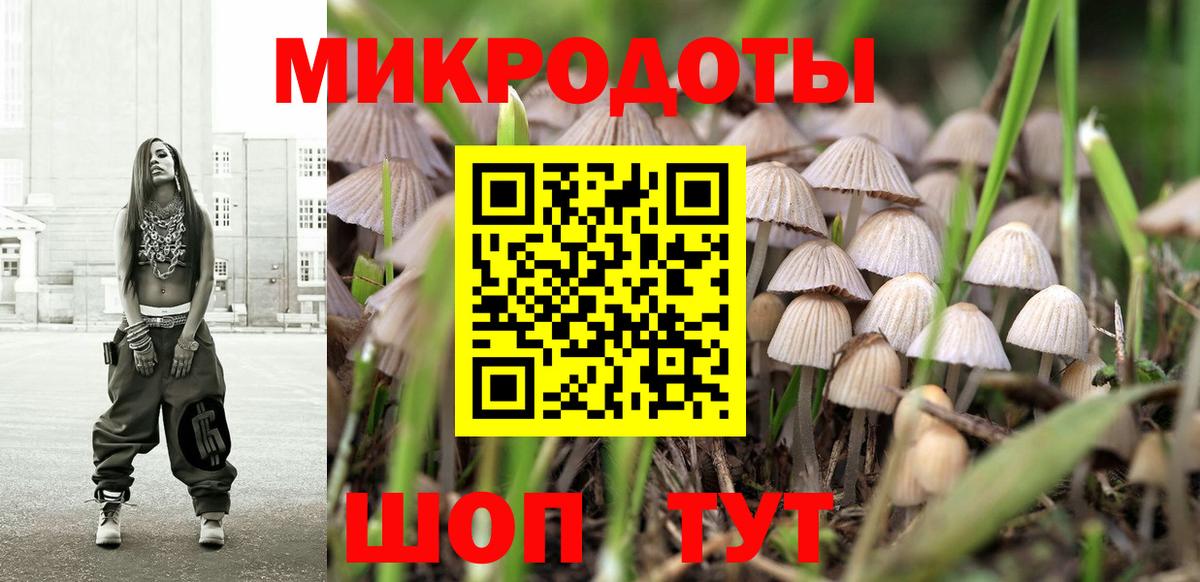 Псилоцибиновые грибы GOLDEN TEACHER Абинск