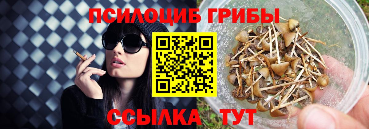 Галлюциногенные грибы Psilocybe  Галлюциногенные грибы мицелий  Абинск  Вход с VPN 